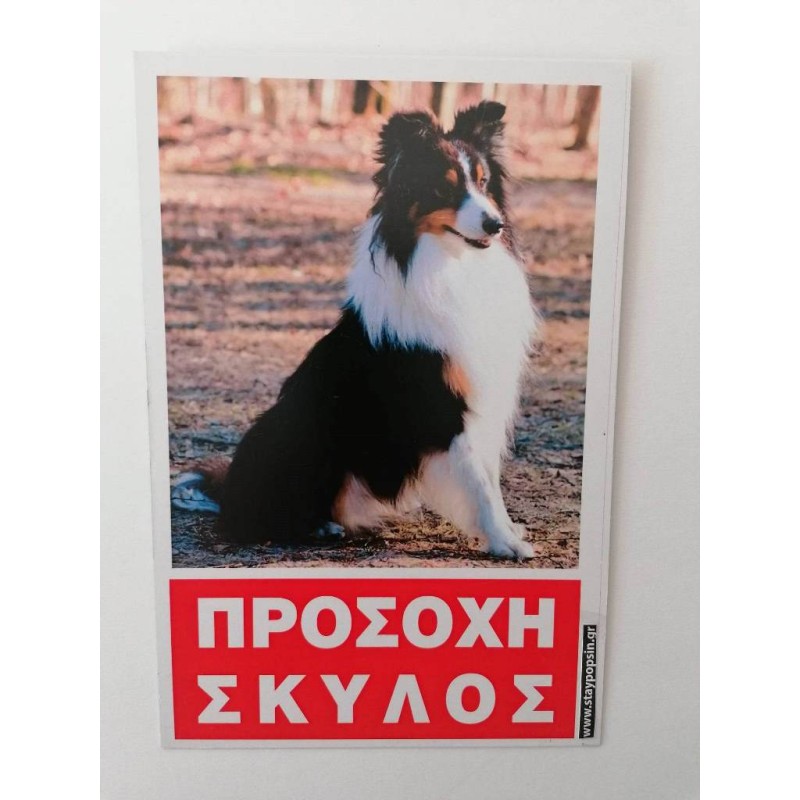 Κωδικός ΣΚ 10