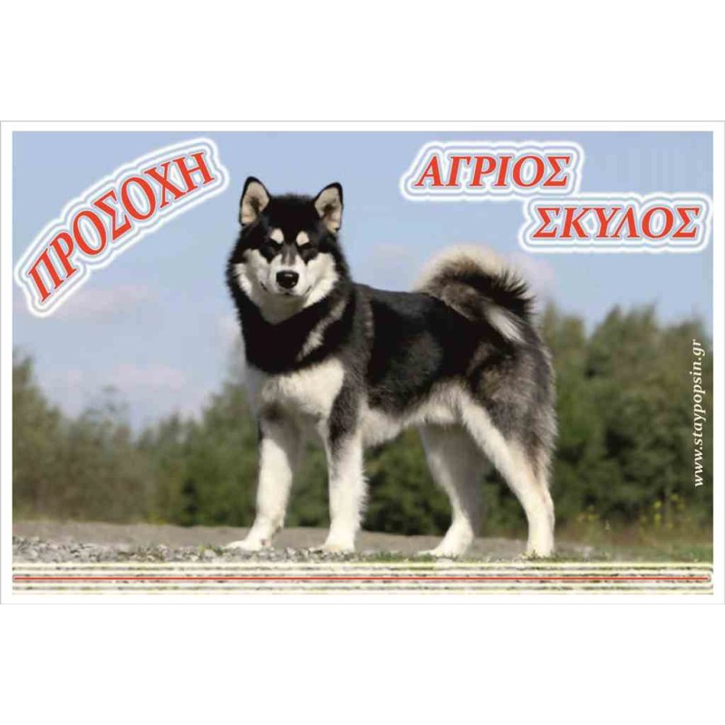 Κωδικός ΣΚ 11