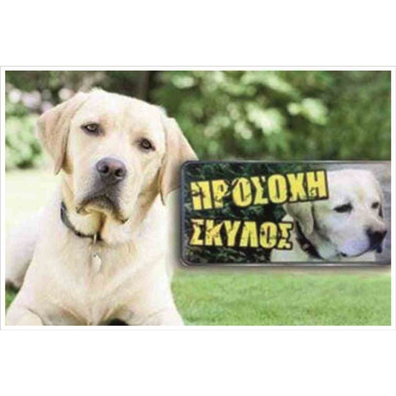 Κωδικός ΣΚ 12