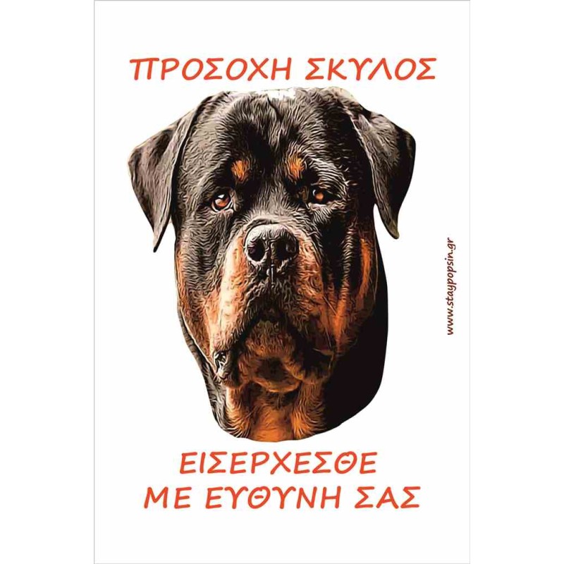 Κωδικός ΣΚ 13