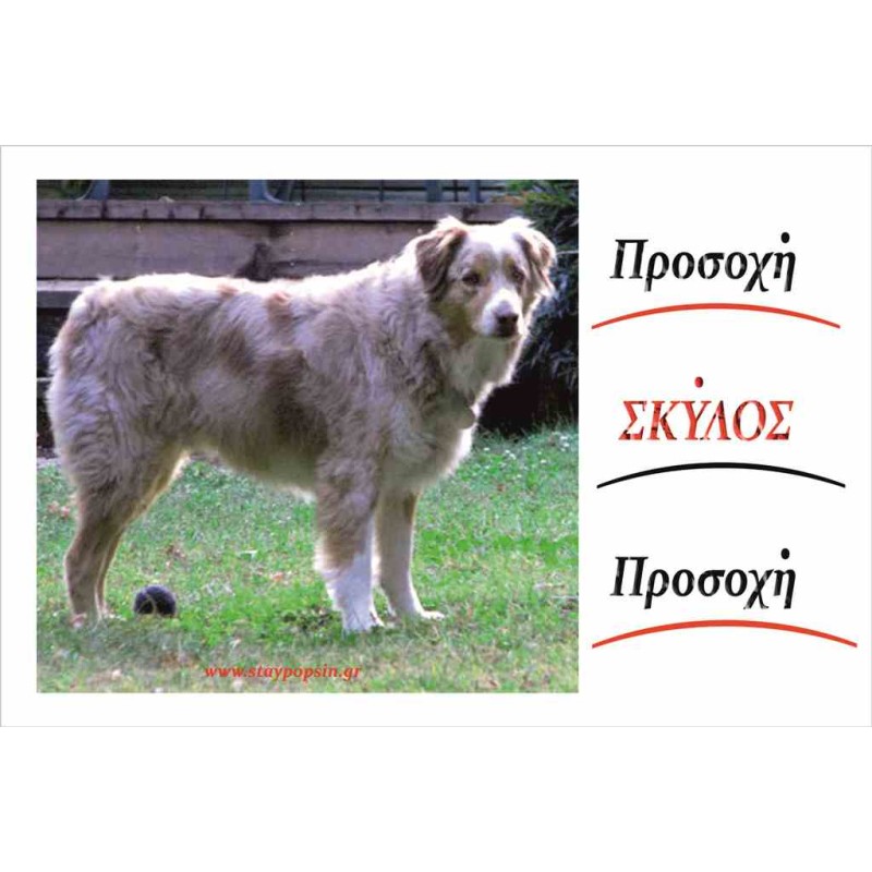 Κωδικός ΣΚ 18